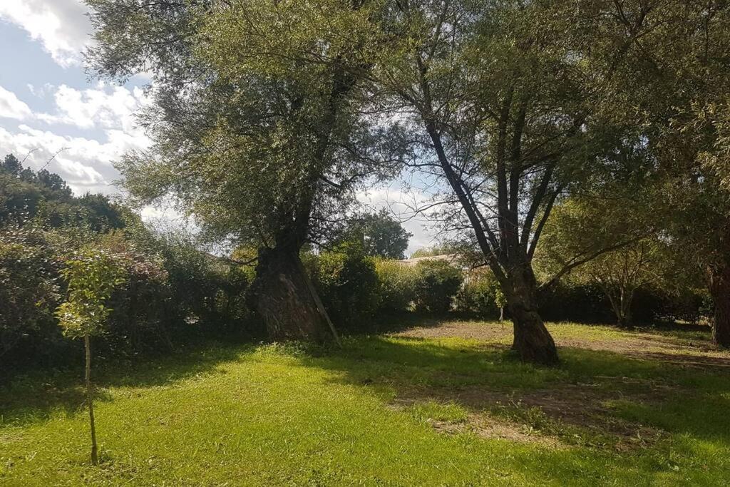 Demeure En Pierre Avec Piscine Privee Villa Etauliers